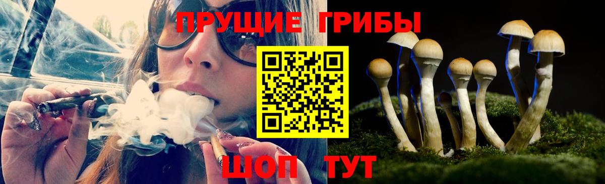 Галлюциногенные грибы MAGIC MUSHROOMS  Псилоцибиновые грибы Magic Shrooms  Гудермес  Вход с VPN 